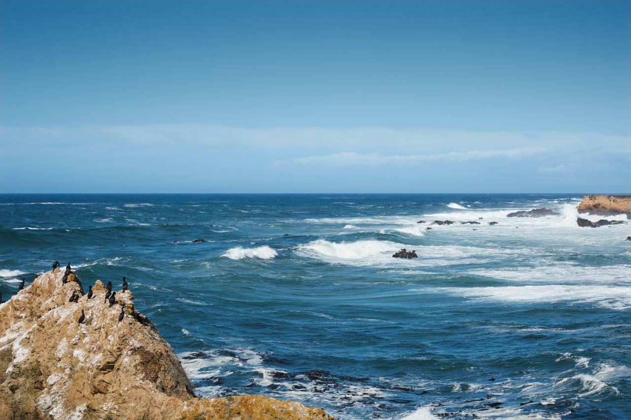 Ocean Breeze Fort Bragg Exterior foto